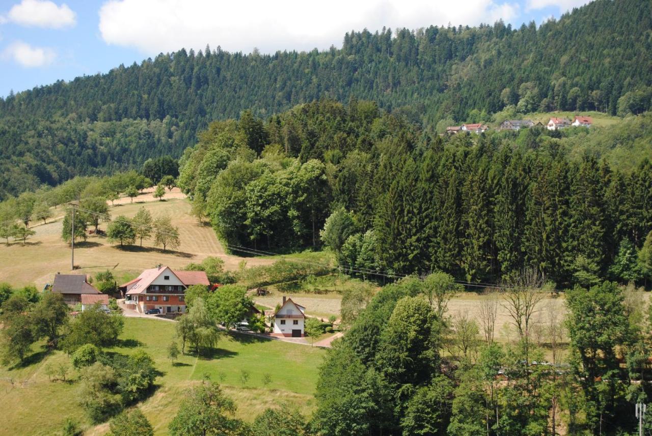 Ferienwohnung Treyer Oppenau Esterno foto