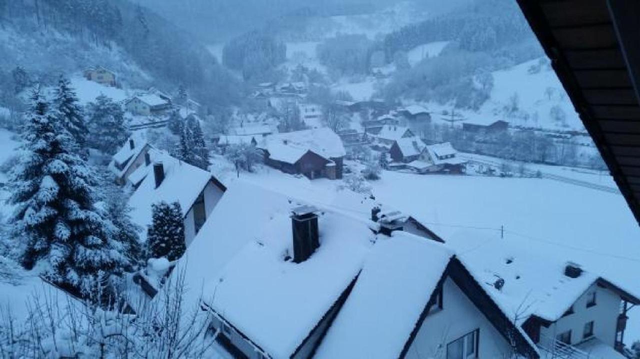 Ferienwohnung Treyer Oppenau Esterno foto